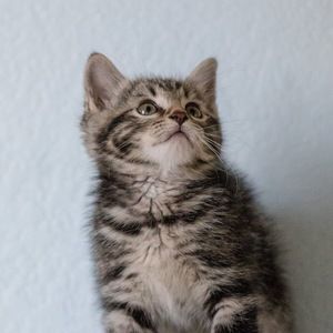 Meet your Posher, Claire